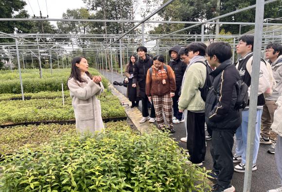 f2e4de57ff8af1fc0a52f47236b254f4