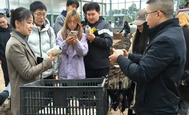 61a3200c-babc-4c32-ae18-3c65008af03d